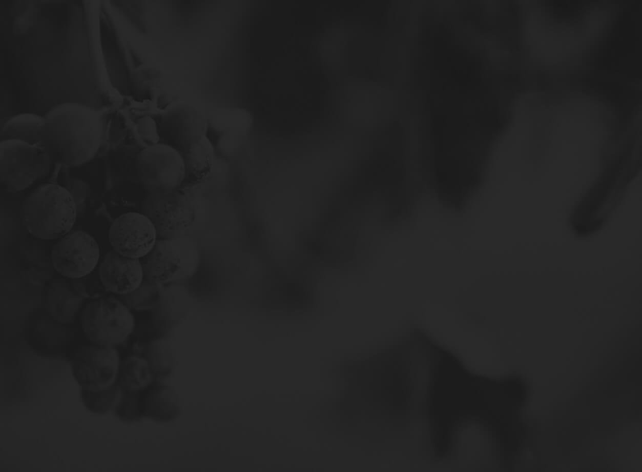 wine-sleder-1-bg-1.jpg