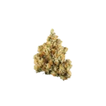 Honey Cream