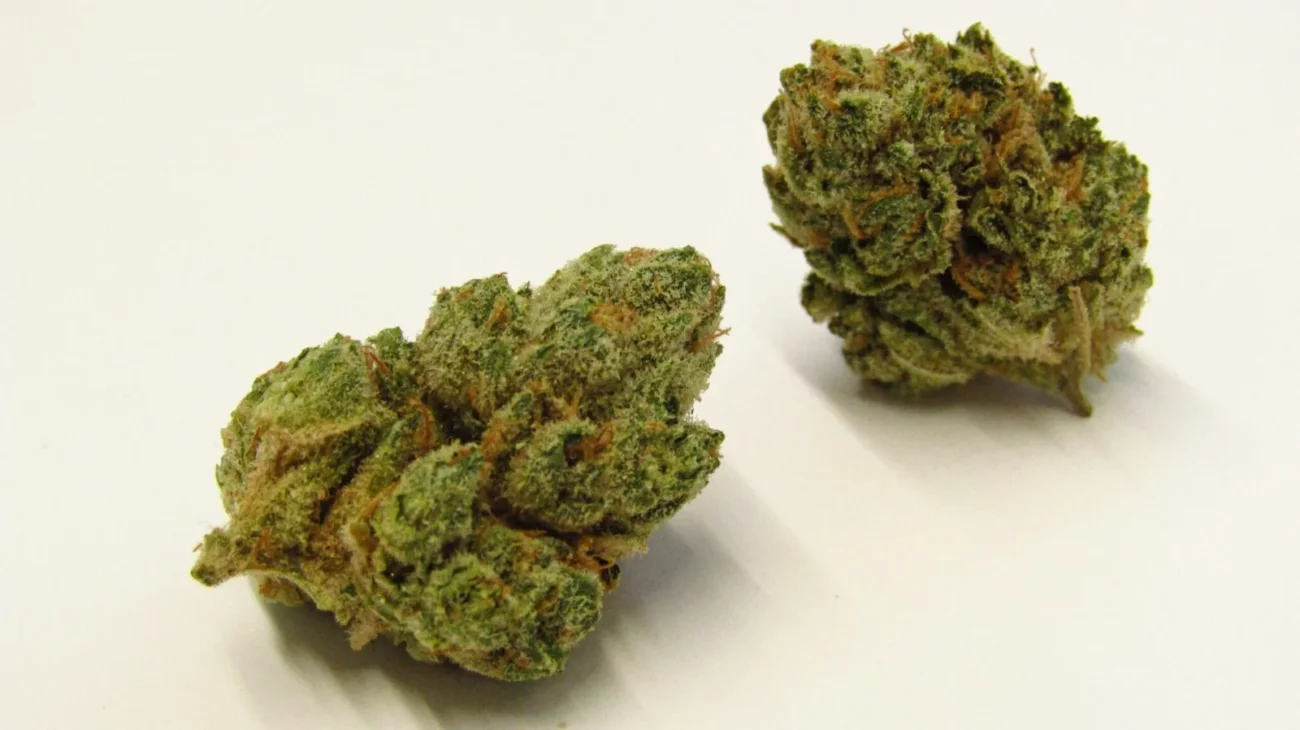 What Is Kush: Definition Origin Effects Best Strains