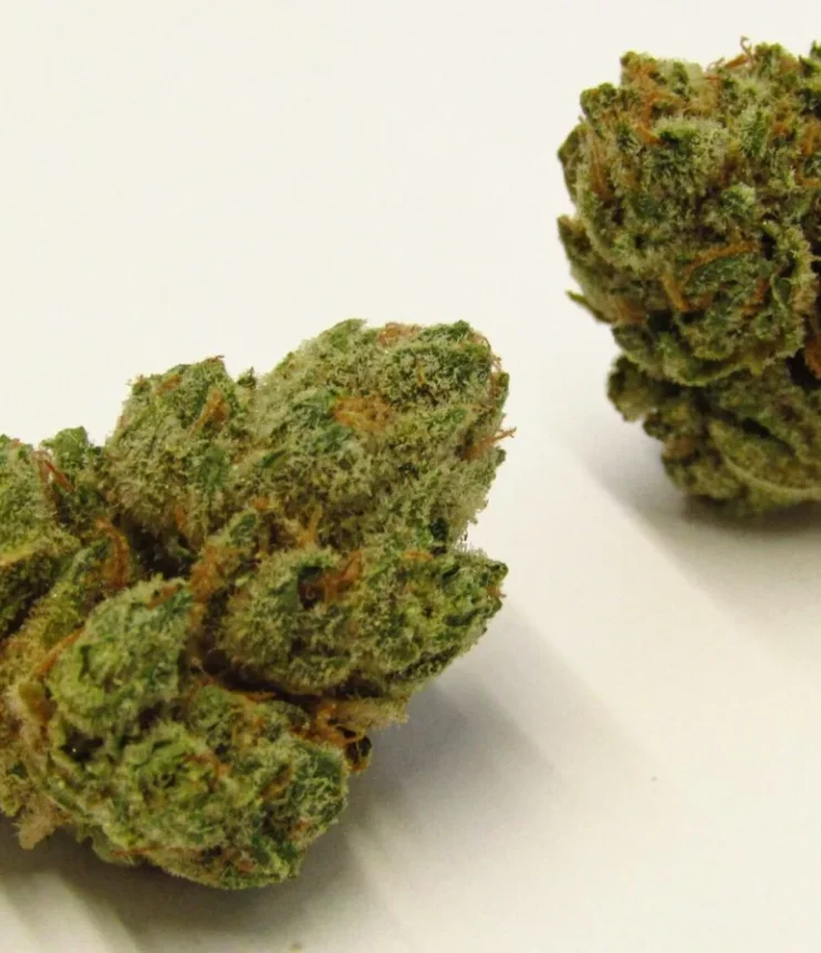 What Is Kush: Definition Origin Effects Best Strains
