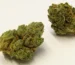What Is Kush: Definition Origin Effects Best Strains